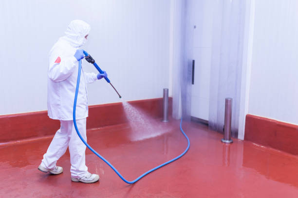 Paint Preparation in San Diego, CA